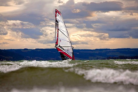 Windsurfer on Lake Constance during strong wind, seen from the island of Reichenau, Baden-Wuerttemberg, Germany, Europe