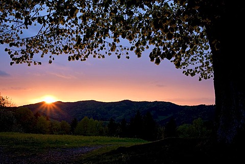 Sunset with silhouetted tree at the Maria Lindenberg Sanctuary Church near St. Peter, Black Forest, Baden-Wuerttemberg, Germany, Europe