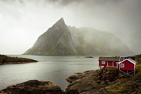 Rainy mood with fisherman's huts, Reine, Lofoten, Norway, Europe