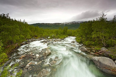 River alongside Kungsleden, The King's Trail, Lapland, Sweden, Europe