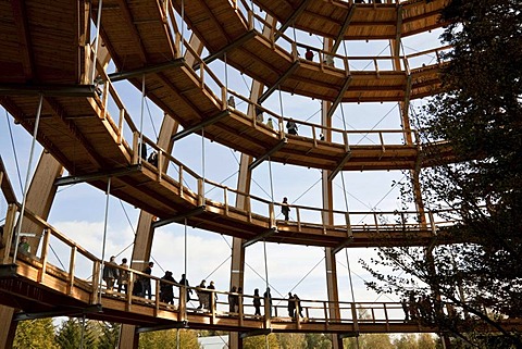 Tree-top walk, Neuschoenau, Bavarian Forest National Park, Lower Bavaria, Bavaria, Germany, Europe