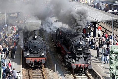 Dampfspektakel 2010 steam train show at Gerolstein station, passenger train engine 2455 Posen, left, with freight train engine 58311, right, Gerolstein, Rhineland-Palatinate, Germany, Europe