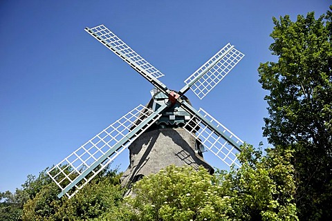 Charlotte Windmill in the Geltinger Birk Nature Reserve, Schleswig-Holstein, Germany, Europe