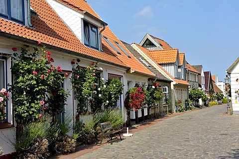 Old houses in the fishing village Holm, Schleswig, Schleswig-Holstein, northern Germany, Germany, Europe