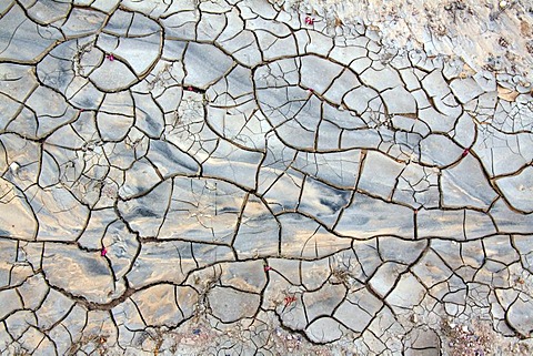 Desiccation cracks in a riverbed in the desert, Wadi in the Dana Nature Reserve near Feynan, Hashemite Kingdom of Jordan, Middle East, Asia