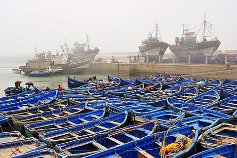 Small blue fishing boats and trawlers in the fishing port of Essaouira, Atlantic coast, Morocco, Africa