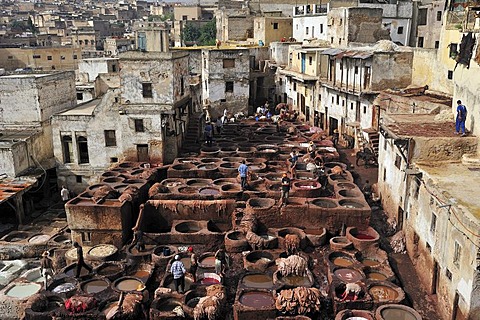 Lime and dye vats, tanners and dyers quarter, Fez, Morocco, Africa