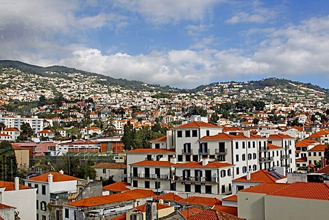 Funchal, Madeira, Portugal, Europe