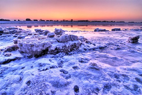 Icy landscape along the Elbe river in the Kirchwerder quarter, Hamburg, Germany, Europe