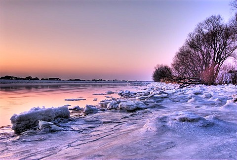 Icy landscape along the Elbe river in the Kirchwerder quarter, Hamburg, Germany, Europe