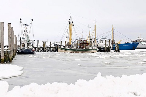 The harbour of the principal town of Wyk is almost completely frozen in winter, North Sea island of Foehr, Nationalpark Schleswig-Holsteinisches Wattenmeer, Schleswig-Holstein Wadden Sea National Park, Unesco World Heritage Site, North Frisian islands, Sc