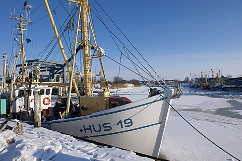 Frozen outer harbour with shrimp boats, Husum, North Sea, North Frisia, Schleswig Holstein, northern Germany, Europe