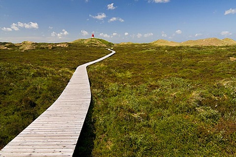 Boardwalk through the dunes and lighthouse, Amrum island, Schleswig-Holstein, Germany, Europe