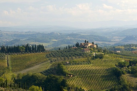 Typical Tuscan landscape near San Gimignano, Tuscany, Italy, Europe