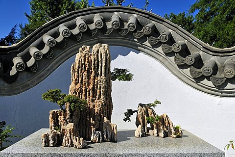 Bonsai collection, Chinese Garden, Jardin Botanique de Montreal, Botanical Garden of Montreal, Quebec, Canada, North America