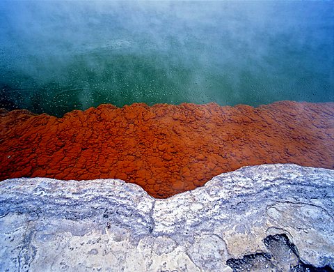 Champagne Pool, hot springs, geothermal area Waiotapu, Rotorua, North Island, New Zealand