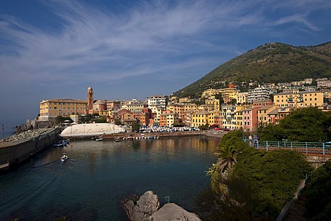 Bogliasco, Liguria, Italy, Europe