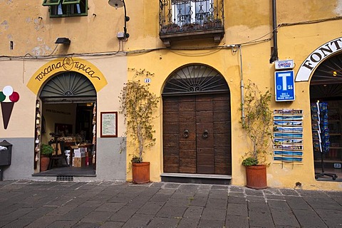 Piazza Anfiteatro square, Lucca, Tuscany, Italy, Europe, PublicGround