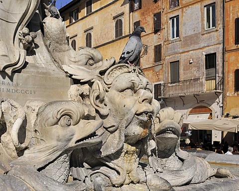 Fountain in the Piazza della Rotonda square, Rome, Lazio, Italy, Europe