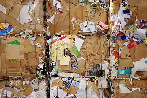 Pressed cardboard, recycling, buyback centre