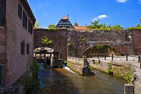 Le Bruch, old city wall with weir on the Lauter river, Wissembourg, Vosges du Nord nature park, Vosges mountains, Alsace, France, Europe