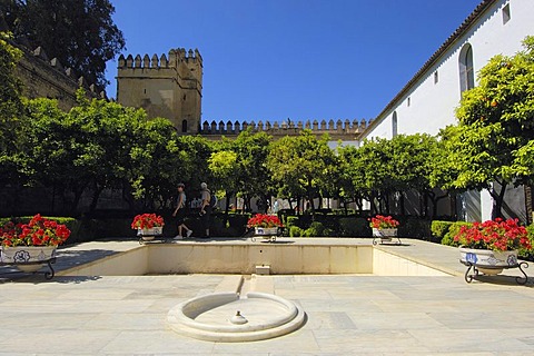 Alcazar de los Reyes Cristianos, Alcazar of Catholic Kings, Cordoba, Andalusia, Spain, Europe