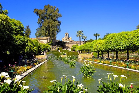 The gardens of Alcazar de los Reyes Cristianos, Alcazar of Catholic Kings, Cordoba, Andalusia, Spain, Europe