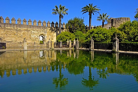 The gardens of Alcazar de los Reyes Cristianos, Alcazar of Catholic Kings, Cordoba, Andalusia, Spain, Europe