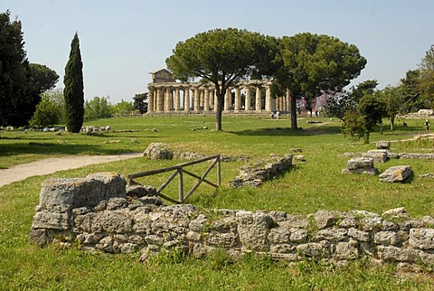 Ruins in Paestum, Ceres Tempel at back, Italy, Europe