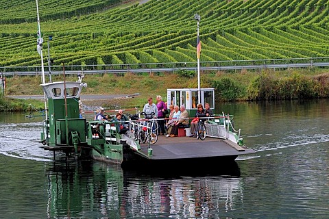 Road-ferry on the Moselle river near Bielstein, Rhineland-Palatinate, Germany, Europe