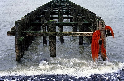 Weathered wooden groynes in the sea, coastal protection on the North Sea, Walcheren peninsula, Zeeland, Netherlands, Europe