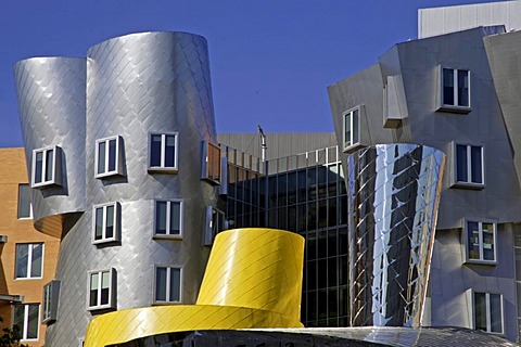 Ray and Maria Stata Center, architect Frank Gehry, MIT, Massachusetts Institute of Technology, Cambridge, New England, USA