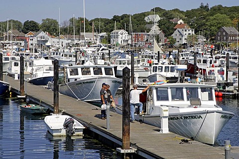 Fishing fleet, Gloucester, Massachusetts, New England, USA