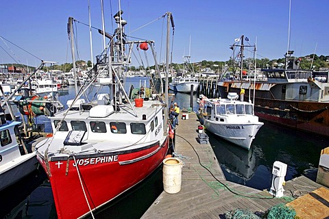 Fishing fleet, Gloucester, Massachusetts, New England, USA