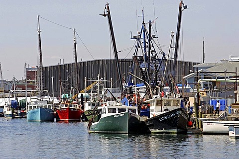 Fishing fleet, Gloucester, Massachusetts, New England, USA