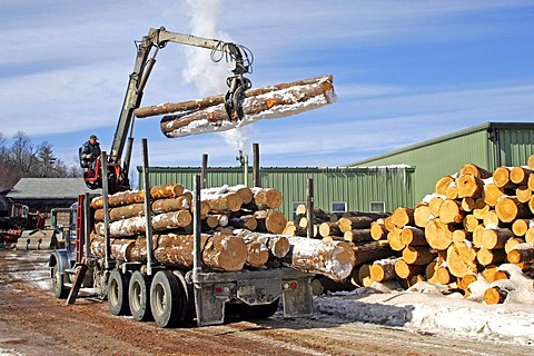 Logging, lumber mill, Springfield, New Hampshire, New England, USA