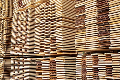 Logging, lumber mill, Springfield, New Hampshire, New England, USA