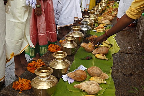 Offerings, Thaipusam festival in Tenkasi, Tamil Nadu, Tamilnadu, South India, India, Asia