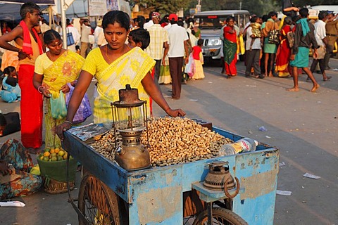 Woman selling peanuts, Thaipusam Festival in Palani, Tamil Nadu, Tamilnadu, South India, India, Asia