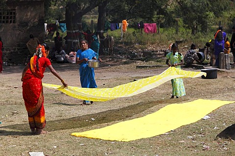 Yellow cloths being spread out, Nanjangud, Karnataka, South India, India, South Asia, Asia
