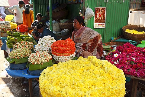 Flower stall at Devaraja Market, Mysore, Karnataka, South India, India, South Asia, Asia