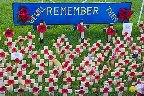 Field of Remembrance with red poppies on wooden crosses, Winchester, Hampshire, England, United Kingdom, Europe