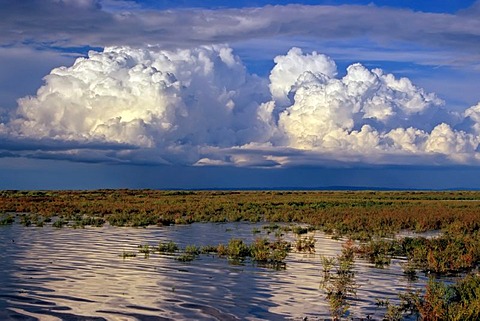 Huge cumulus cloud above the vast landscape of the Camargue, Alpilles in the back, Alpilles, Provence, southern France, France, Europe