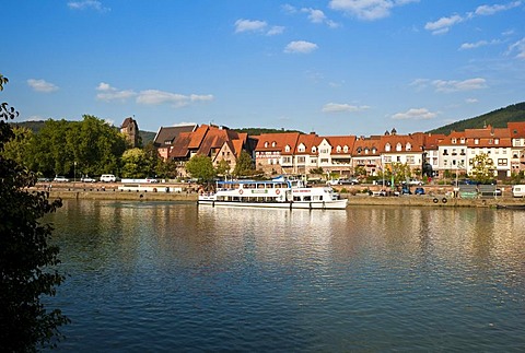 Eberbach, Rhein-Neckar-Kreis district, Baden-Wuerttemberg, Germany, Europe