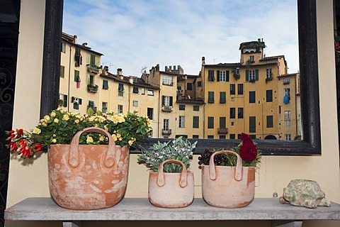 Piazza del Mercato square reflected behind flower pots, Lucca, Tuscany, Italy, Europe