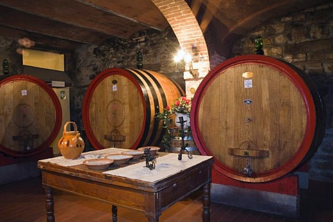 Wine barrels, wine cellar in the Brunello winery, Fattoria dei Barbi, Podernovi, Montalcino, Tuscany, Italy, Europe