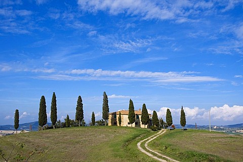 Country house, cypress-lined road, San Quirico d'Orcia, Tuscany, Italy, Europe