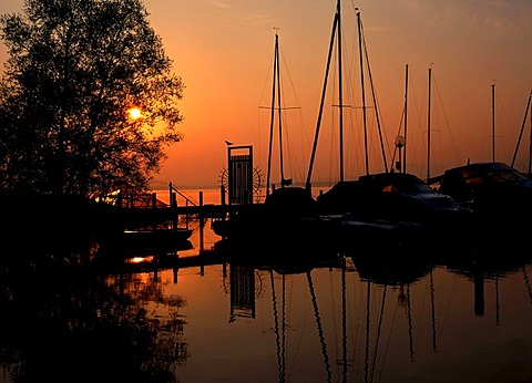 Sunrise over a small boat harbour, Chiemsee, Upper Bavaria, Germany, Europe