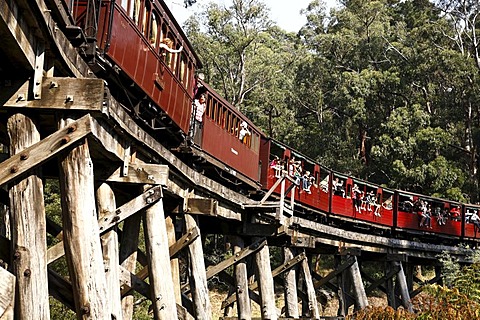 Puffing Billy Railway passenger carriages crossing the Trestle Bridge, built in 1899, The Dandenong Ranges, Victoria, Australia