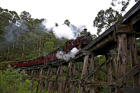 Puffing Billy Railway crossing the Trestle Bridge, built in 1899, The Dandenong Ranges, Victoria, Australia